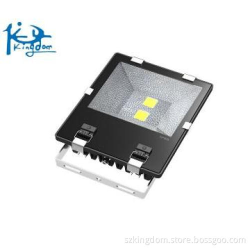 LED  flood light 100W